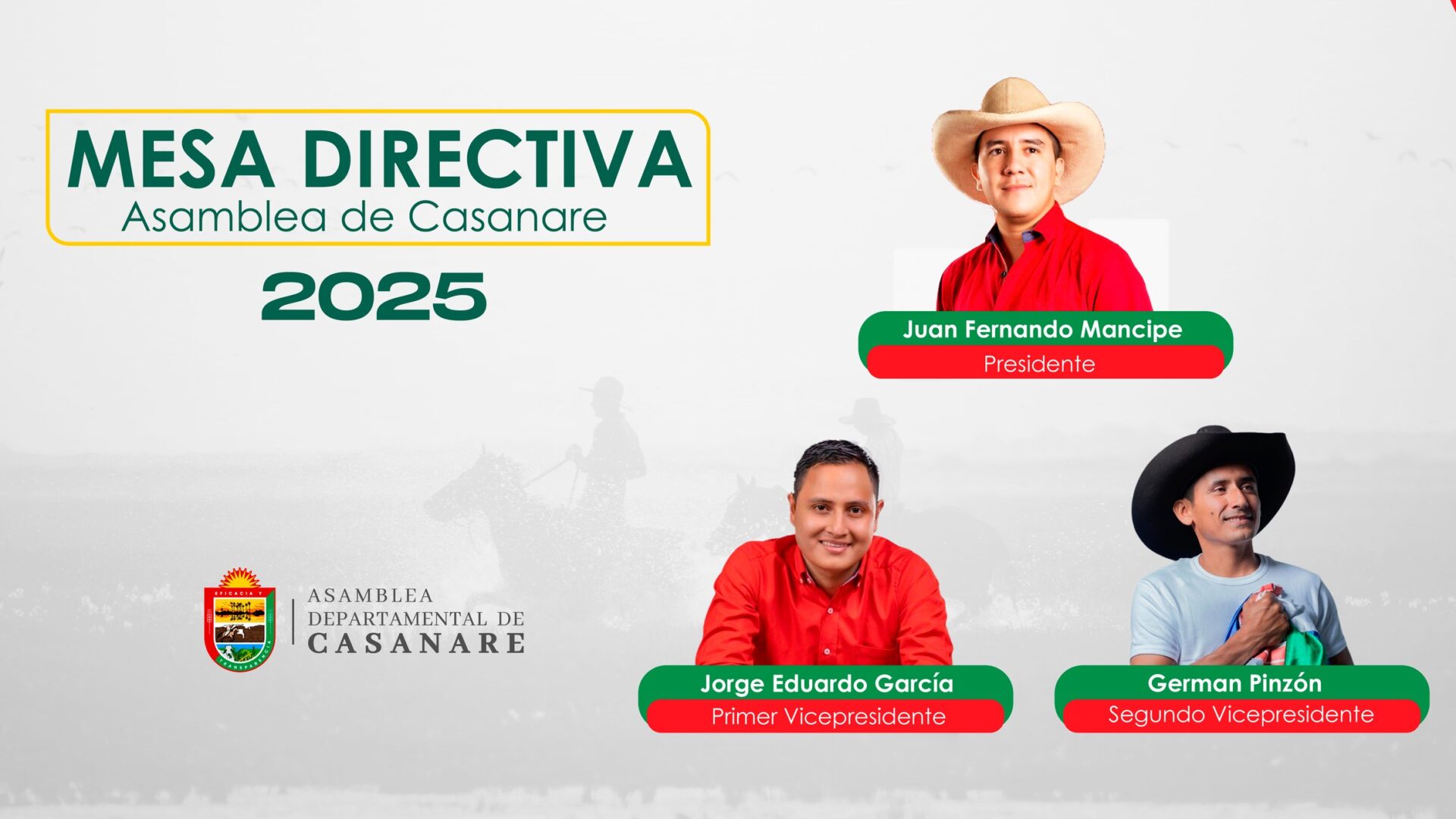 Asamblea de Casanare anula concurso para elegir Contralor alegando errores propios.